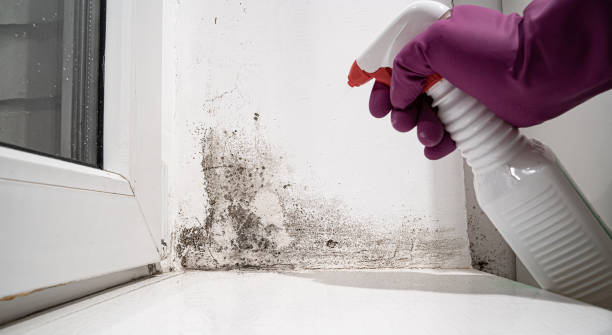 Water damage restoration mold remediation in Russellton, PA